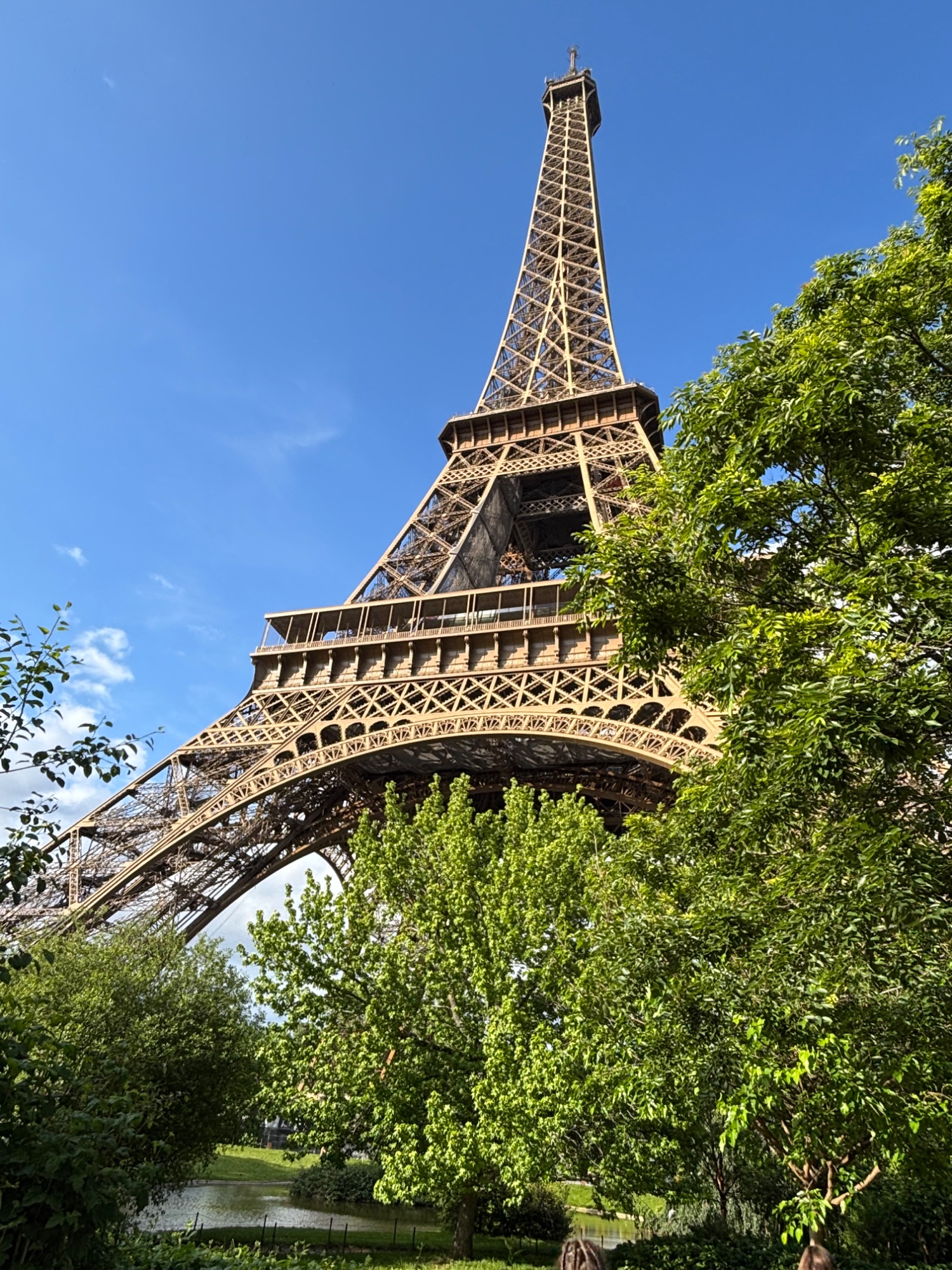 🇫🇷🗼 Zielona szkoła w Paryżu – niezapomniana przygoda! 🌿✨